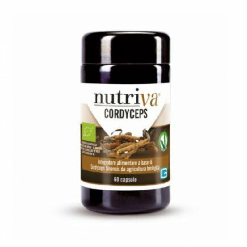 CORDYCEPS