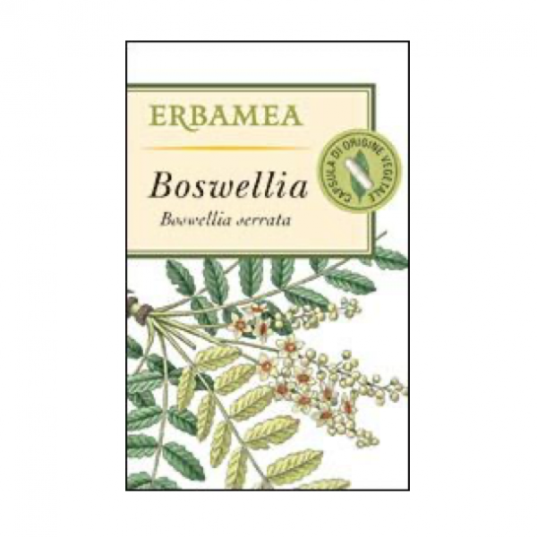 Boswellia (Boswellia serrata Roxb. ex Colebr.)