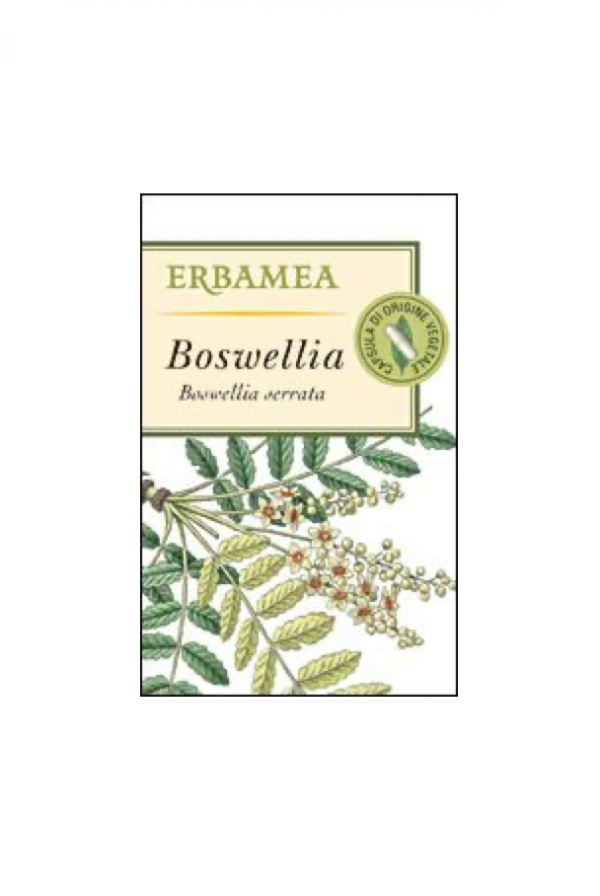 Boswellia (Boswellia serrata Roxb. ex Colebr.)
