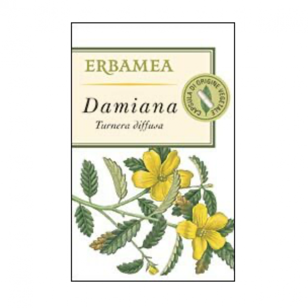 Damiana (Turnera diffusa Willd. ex Schult.)
