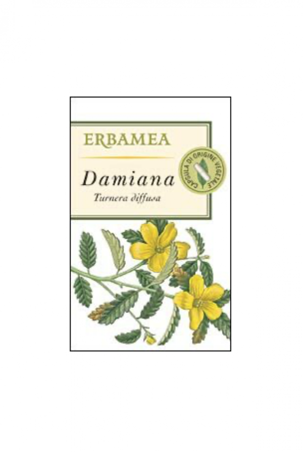 Damiana (Turnera diffusa Willd. ex Schult.)