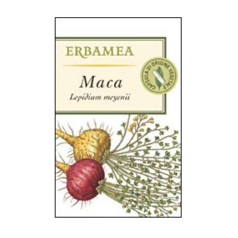 Maca (Lepidium meyenii Walp.)