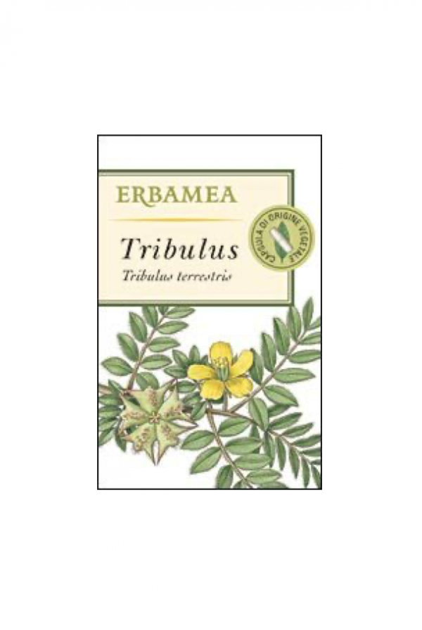 Tribulus (Tribulus terrestris L.)