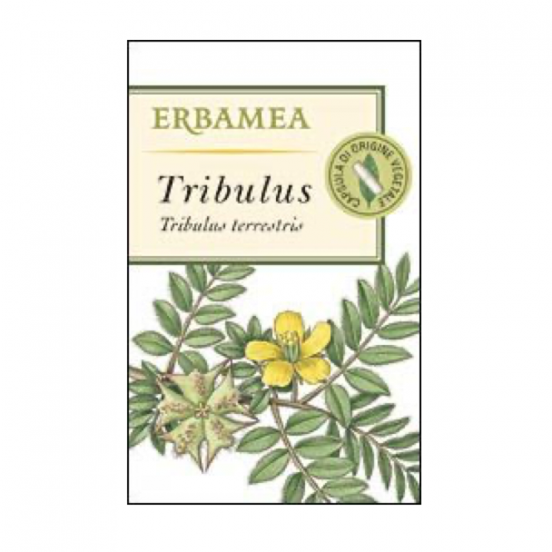 Tribulus (Tribulus terrestris L.)