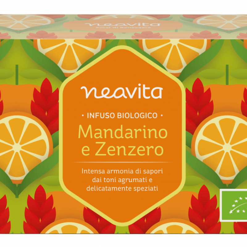 INFUSO IN FILTRI Mandarino e Zenzero Bio