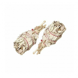 SALVIA BIANCA Mazzetto