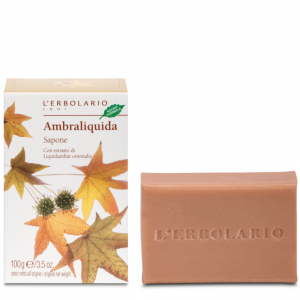 Sapone Ambraliquida