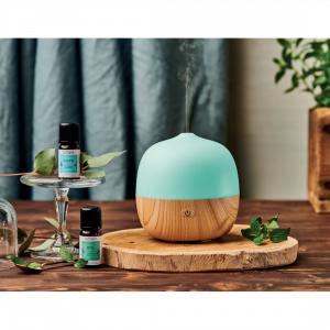 DIFFUSORE a ULTRASUONI “BERRY”