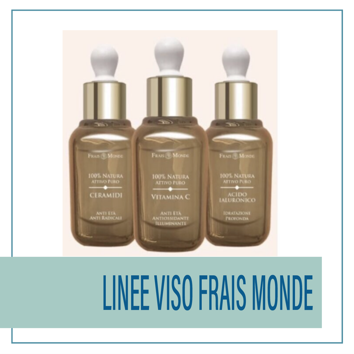 Schermata-2023-12-01-alle-12.55.48