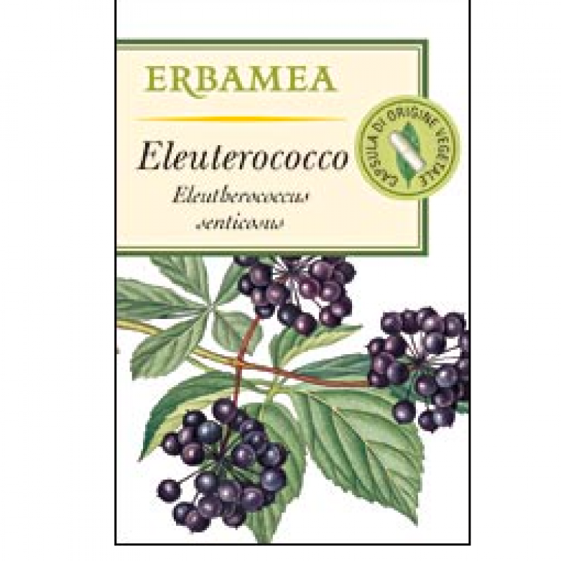 ELEUTEROCOCCO