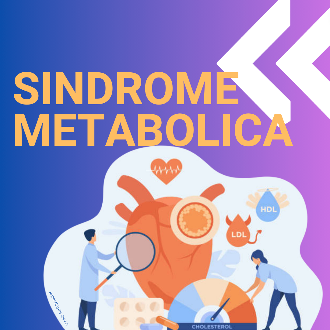 colesterolo SINDROME METABOLICA HOME