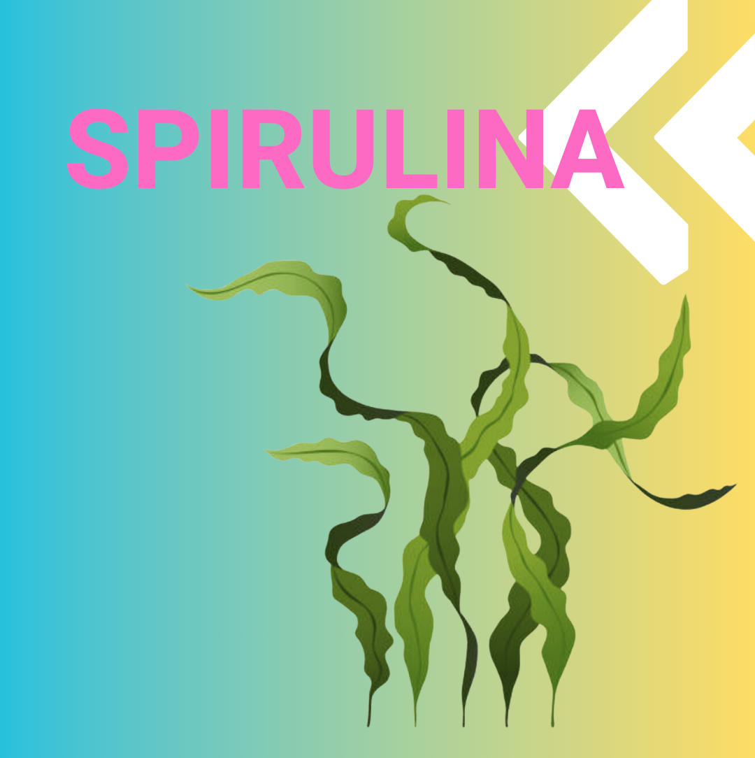 spirulina HOME