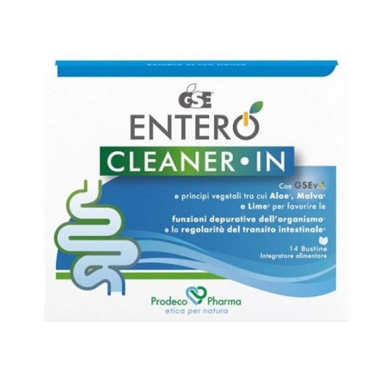 GSE CLEANER -IN