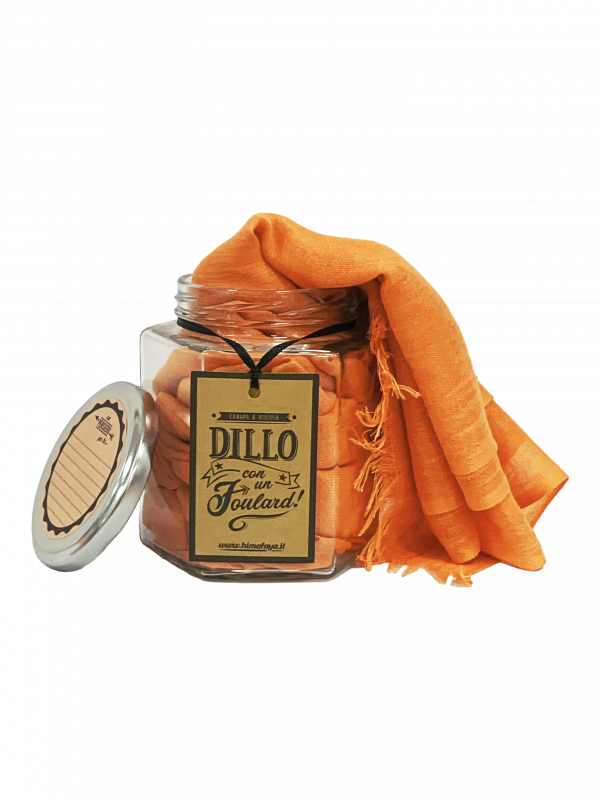 DILLO CON UN FOULARD - ARANCIO