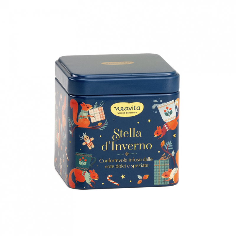Infuso Stella d'Inverno in Filtroscrigno in Barattolo BLU di Natale