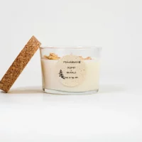 20b7e09376f5c0c9cdae4c37881340394abe5b038e25bc22ef1f34c2a408ac87